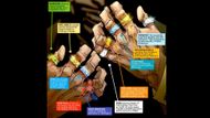 Marvel's Mandarin's Rings | Image via: Marvel Comics